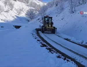 Diyarbakır’da Kar Nedeniyle Kapanan 98 Köy Yolu Ulaşıma Açıldı