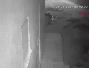 Diyarbakır’da Narin Güran Cinayeti Davasında Yeni Gelişmeler