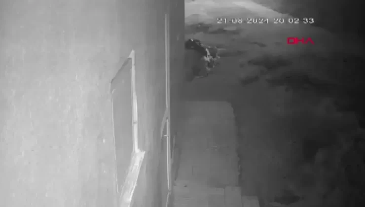 Diyarbakır’da Narin Güran Cinayeti Davasında Yeni Gelişmeler