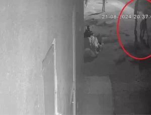 Diyarbakır’da Narin Güran Cinayetinde Yeni Gelişmeler