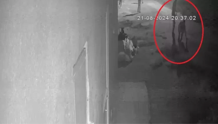 Diyarbakır’da Narin Güran Cinayetinde Yeni Gelişmeler