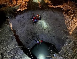 Diyarbakır’da yaban domuzu kurtarma operasyonu