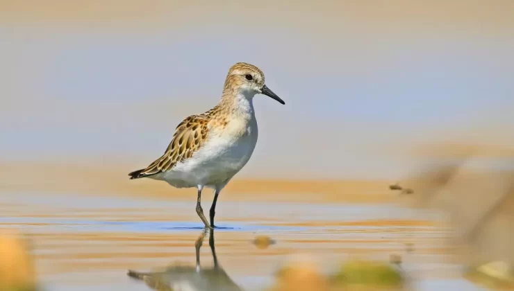 Diyarbakır’da Yılın Başarılı Gazetecileri Yarışması’nda Selim Kaya Birinci Oldu