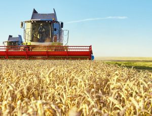 DMM: ‘Çiftçilere 213 milyon TL ayrıldı’ iddiası doğru değildir