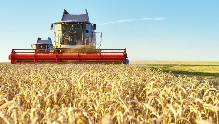 DMM: ‘Çiftçilere 213 milyon TL ayrıldı’ iddiası doğru değildir