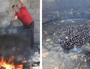 Doğada kendiliğinden yetişiyor: Kilosu 400 TL’den satılıyor