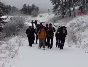 Doğaseverler Bozayı ile Karşılaştı