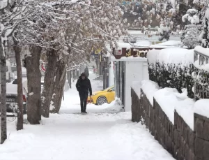 Doğu Anadolu’da Kar Yağışı Etkili