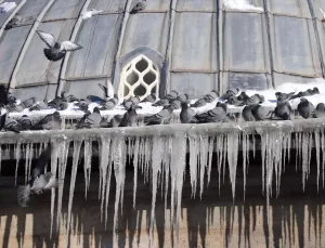 Doğu Anadolu’da Soğuk ve Kar