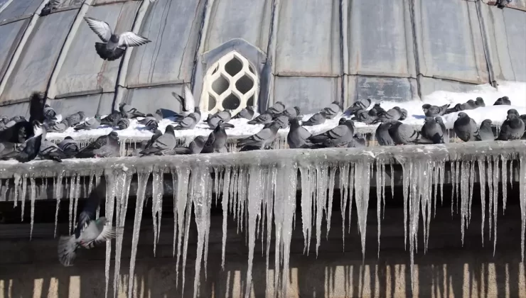 Doğu Anadolu’da Soğuk ve Kar