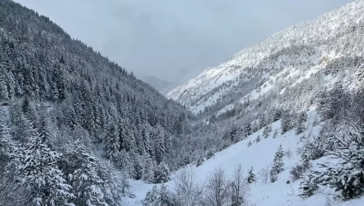 Doğu Karadeniz’de Kar Yağışı 442 Köy Yolunu Kapatırken Eğitime Ara Verildi