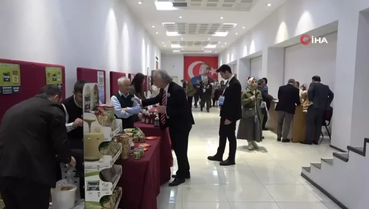 Doğu Karadeniz’de kırsaldan kente göç her yıl artıyor