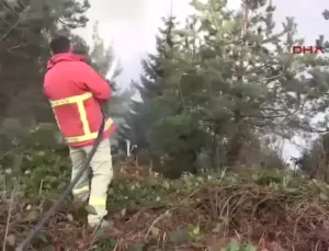 Doğu Karadeniz’de Yangın Riski Artıyor