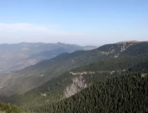 Doğu Karadeniz’de Yangın Riski Uyarısı