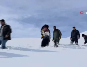 Dron ile Kaybolan Hayvanlar Bulundu