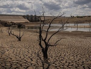 DSÖ: 2050’ye kadar iklim kaynaklı olaylar nedeniyle 1,2 milyara kadar insan yerinden olabilir