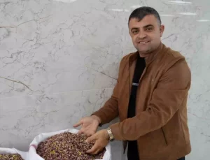 Dubai Çikolatası Fıstık Fiyatlarını Yükseltti