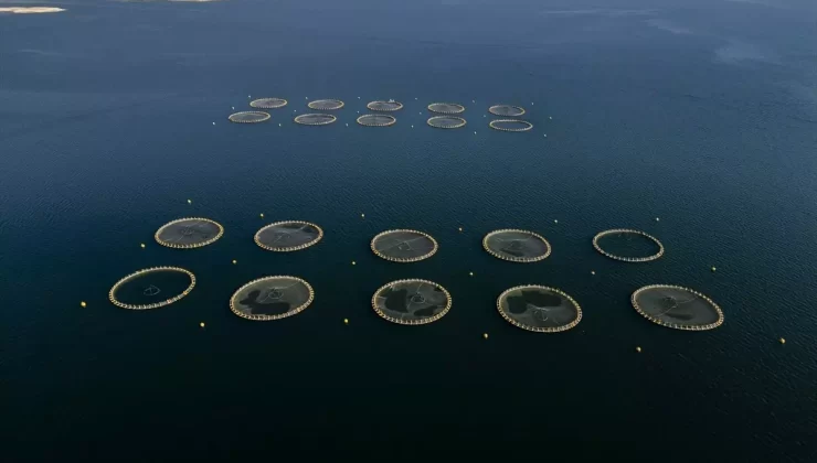 Duhok’ta En Büyük Balık Üretim Tesisi