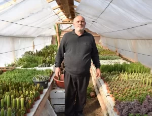 Dursun Akyüz’ün Kaktüs Başarısı