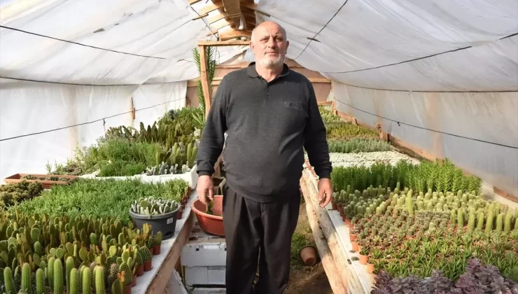 Dursun Akyüz’ün Kaktüs Başarısı