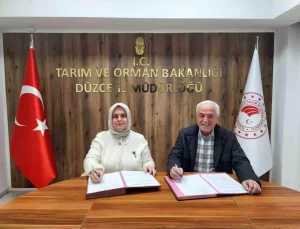 Düzce Kestane Balı İçin İş Birliği