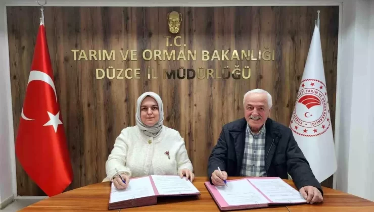 Düzce Kestane Balı İçin İş Birliği