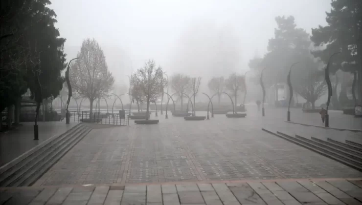 Düzce ve Bolu’da Yoğun Sis