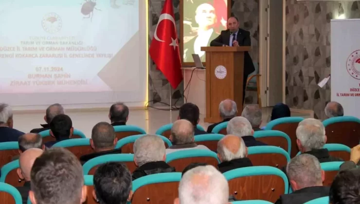 Düzce’de Kahverengi Kokarca ile Mücadele