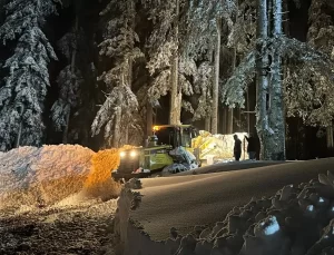 Düzce’de Mahsur Kalan 16 Kişi Kurtarıldı