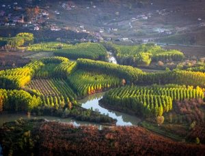 Düzce’de Melen Çayı Havzası sonbahar renklerine büründü