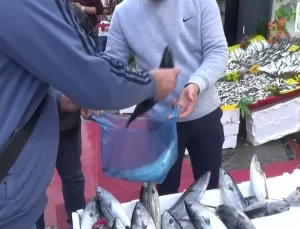 Edirne’de Palamut Fiyatları Yükseldi