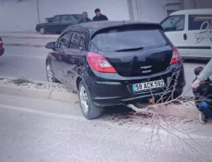 Edirne’de Park Halindeki Araç Sürücüsüne Çarptı, Ağaca Çarparak Durdurdu