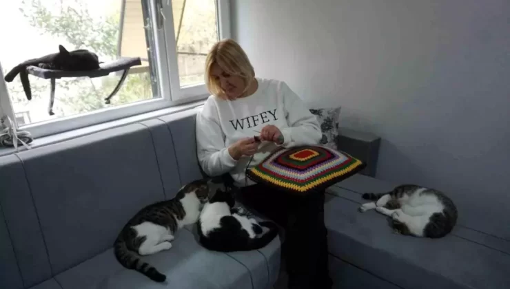 Edirne’de Sokak Kedilerine Sevgi Dolu Yuva