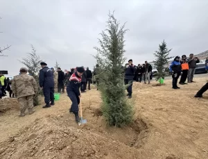 Elazığ, Batman ve Mardin’de fidanlar toprakla buluşturuldu