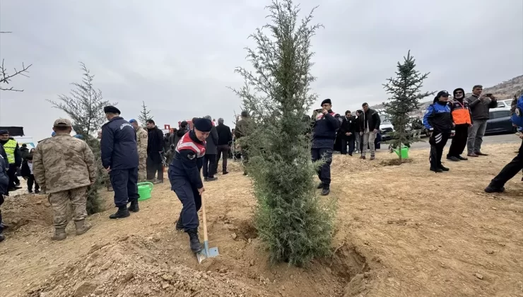 Elazığ, Batman ve Mardin’de fidanlar toprakla buluşturuldu