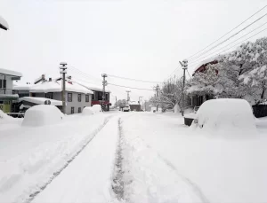 Elazığ ve Bingöl’de Kar Yağışı Yolları Kapattı