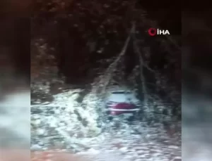 Elazığ’da Fırtına ve Kar Ağaçları Devrildi