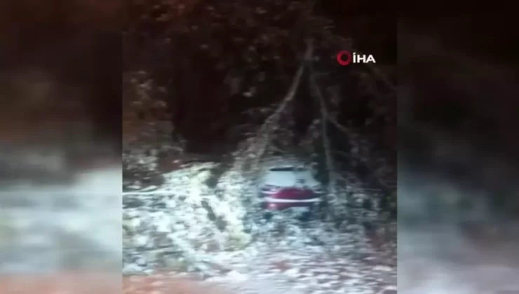 Elazığ’da Fırtına ve Kar Ağaçları Devrildi