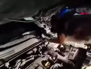 Elazığ’da Uyuşturucu Operasyonu: 4 Şüpheli Tutuklandı