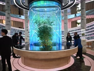 Emine Erdoğan, COP29’da iklim gönüllüsü gençlerle bir araya geldi Açıklaması