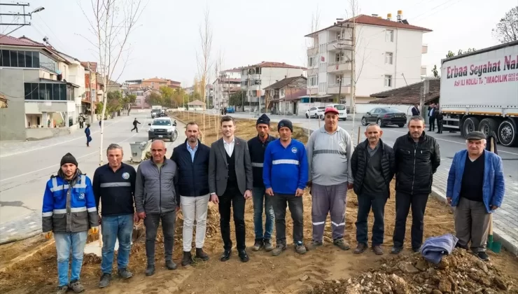 Erbaa’da Ağaçlandırma Çalışmaları Başladı