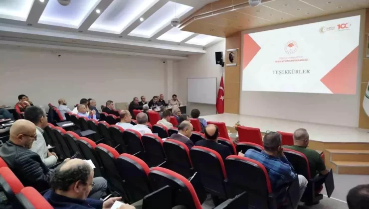 Erzincan’a 3 Mera Projesi Onayı