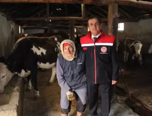 Erzincan’da Kadın Çiftçilerin Tarıma Katkısı Artıyor