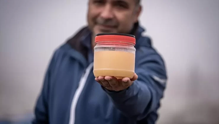 Erzurum’da Arı Kışlatma Hazırlıkları Başladı