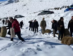 Erzurum’da Yaban Hayvanları İçin Doğaya Yem Bırakıldı