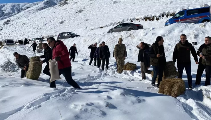 Erzurum’da Yaban Hayvanları İçin Doğaya Yem Bırakıldı