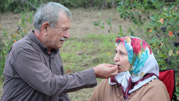Eşinin hastalığına çözüm ararken keşfetti şimdi taleplere yetişemiyor: Bu yıl kilosu 500 TL’den satılıyor