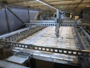 Eskişehir Halk Ekmek Fabrikası Robot Teknolojisi ile Üretim Yapıyor