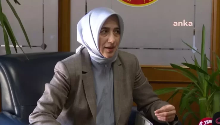 Etki Ajanlığı Düzenlemesi Gözden Geçirilecek