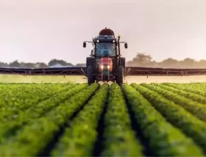 Eylülde Tarımsal Girdi Fiyatları Yükseldi